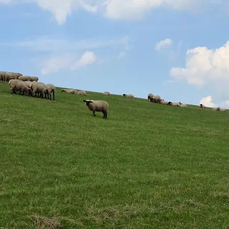 Haus Friesenhuus - Urlaub Direkt An Der Kueste Vakantiehuis Sehestedt (Lower-Saxony)