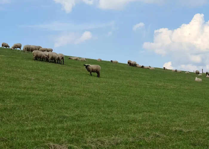 Haus Friesenhuus - Urlaub Direkt An Der Kueste Hébergement de vacances Sehestedt (Lower-Saxony)